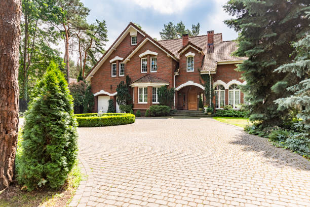 Best Local Driveway Pavers  in Vla Grove, IL