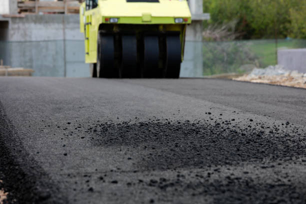 Best Best Driveway Pavers  in Vla Grove, IL
