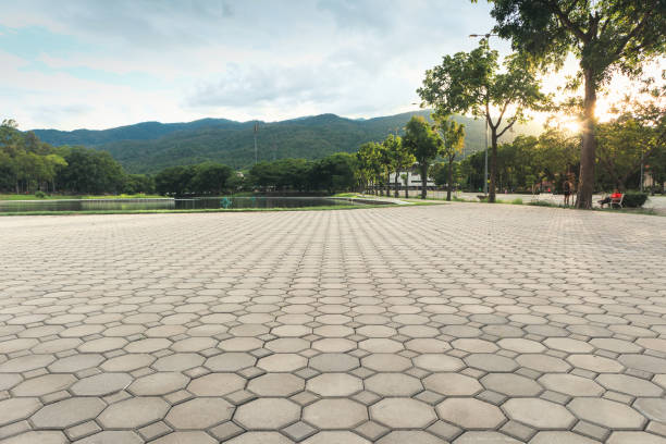 Best Driveway Pavers Near Me  in Vla Grove, IL