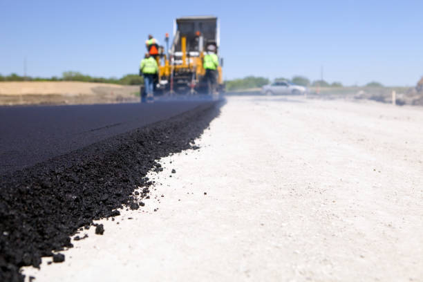 Best Paver Driveway Replacement  in Vla Grove, IL