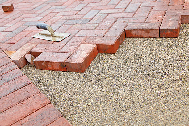 Best Local Driveway Pavers  in Vla Grove, IL
