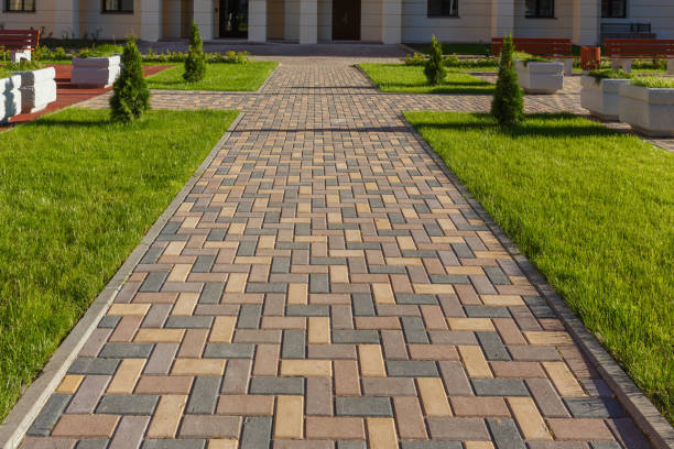 Best Custom Driveway Pavers  in Vla Grove, IL