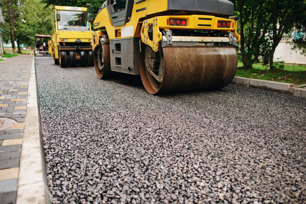 Best Driveway Repair Near Me  in Vla Grove, IL